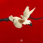 Qabool Hai (Deluxe) - Paradox Song Download
